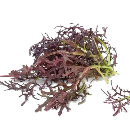 Насіння мізуни