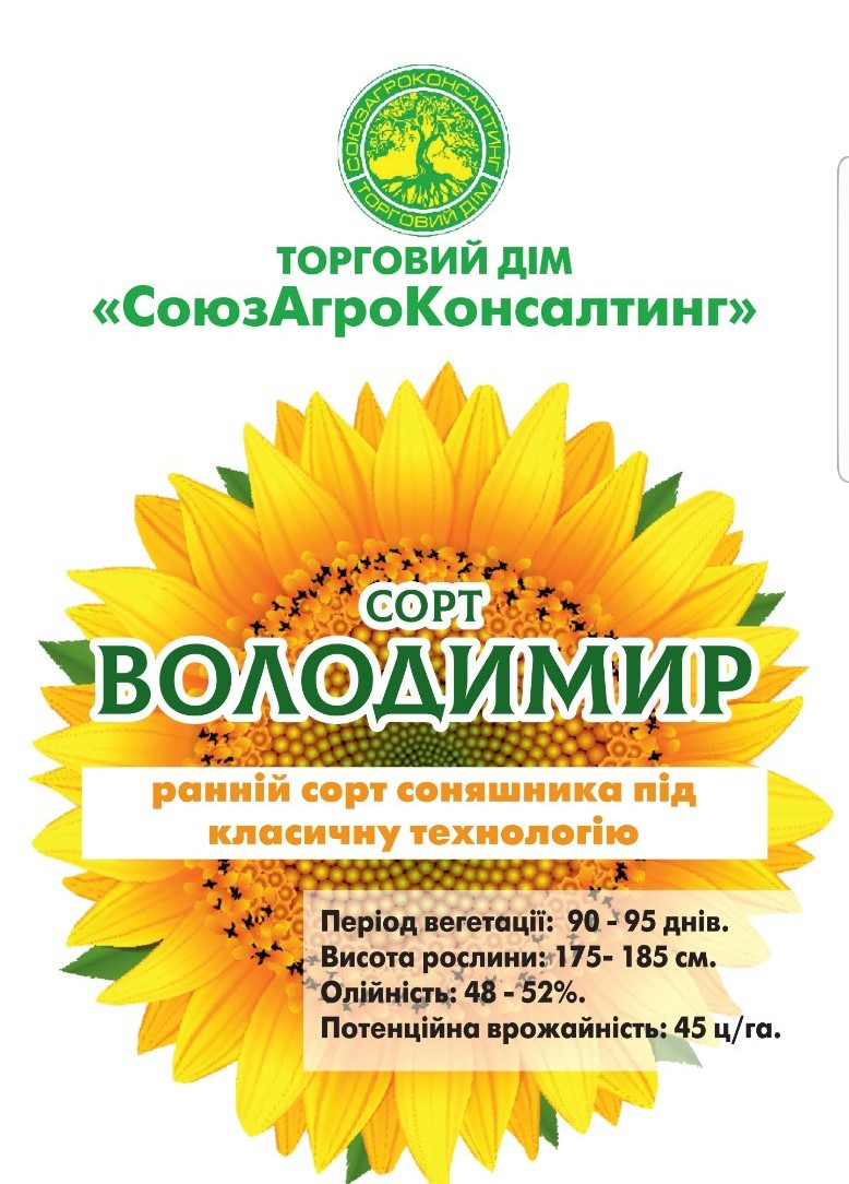 Насіння сортового соняшнику Володимир, 90-95 днів, протруєне, фр.3,6 преміум