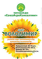 Насіння сортового соняшнику Володимир, 90-95 днів, протруєне, фр.3,6 преміум