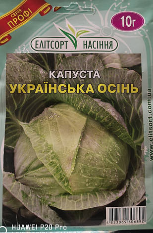 Капуста Українська осінь 10г., фото 1