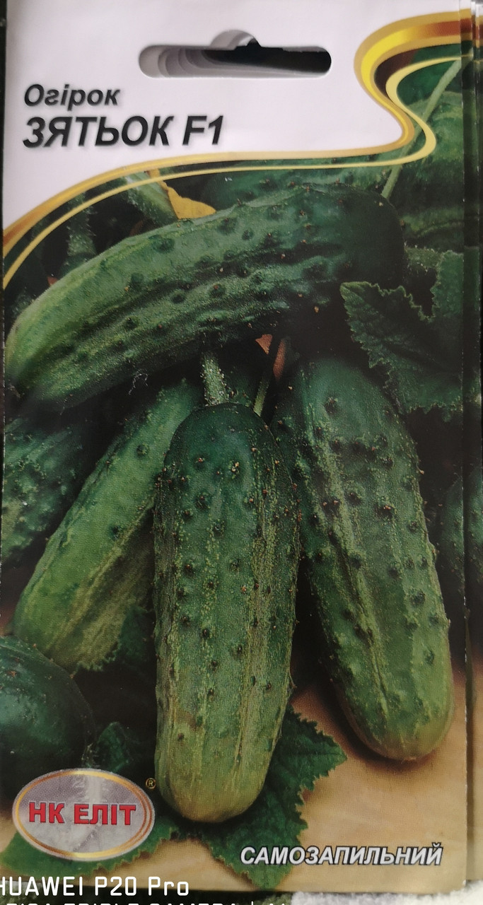 Огірок Зятьок F1  10нас.
