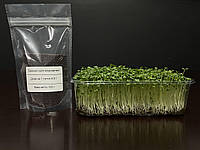 Семена брокколи Rabbs для микрозелени 100 г