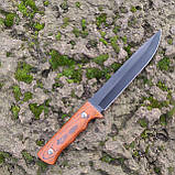 Ніж нескладний Columbia Stainless PR5524, фото 3