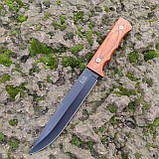 Ніж нескладний Columbia Stainless PR5524, фото 5