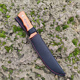 Ніж нескладний Columbia Stainless PR5524, фото 4