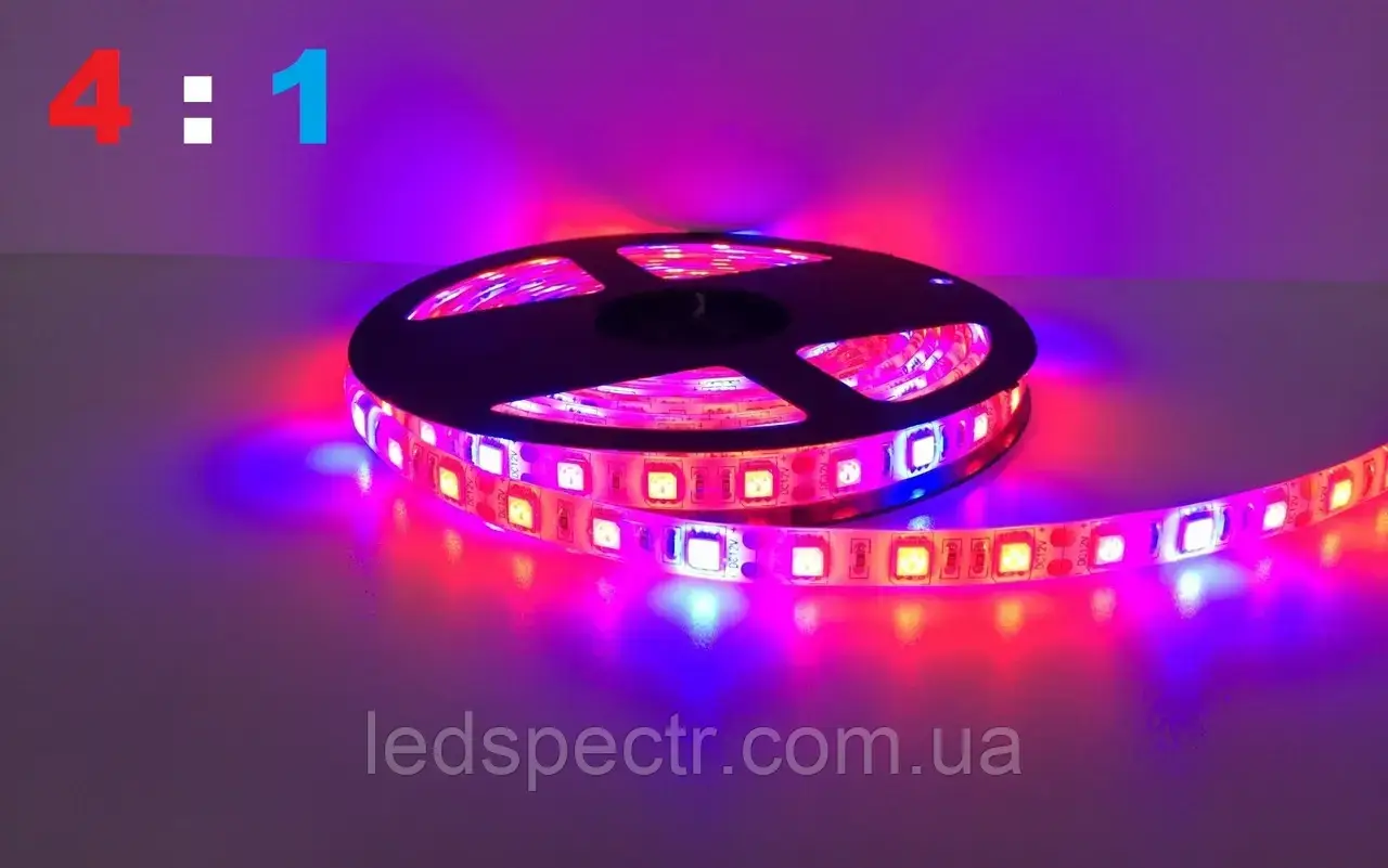 Світлодіодна фітострічка SMD 5050 60 негерметична 4:1