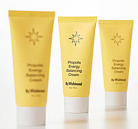 Увлажняющий крем с прополисом By Wishtrend Propolis Energy Balancing Cream 50g