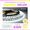 Світлодіодна стрічка MTK-600W3528-IP20-12V 12В 120LED/m SMD2835 IP20 9,6 Вт/м 7000К-8000К холодне світло, фото 8