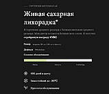 Гортензія метильчаста Living Sugar Rush ( Ливинг  Шугар Раш) горщик 5 л 3-4 роки, фото 2