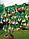 Датура (Brugmansia) триколор. Три кольори в одному горщику., фото 2