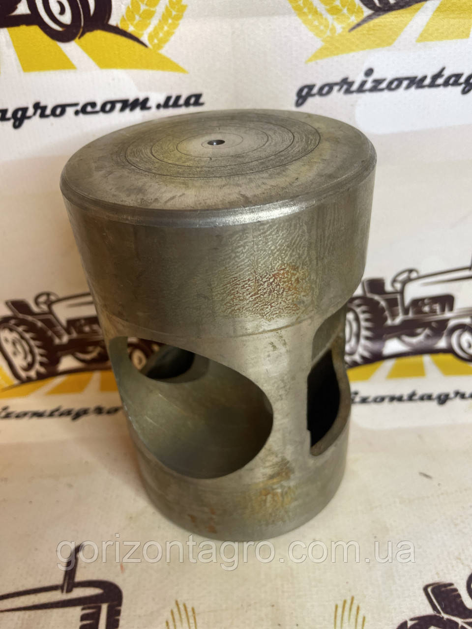 Поршень насоса польського Tad Len Р-100. Поршень насоса обприскувача Тадлен Р100, фото 1