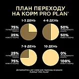 Сухий корм Purina Pro Plan ORIGINAL Kitten для кошенят, Курка 400 г (7613036545099), фото 3