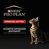Сухий корм Purina Pro Plan ORIGINAL Kitten для кошенят, Курка 400 г (7613036545099), фото 8