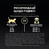 Сухий корм Purina Pro Plan ORIGINAL Kitten для кошенят, Курка 400 г (7613036545099), фото 7