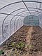 Теплиця "Говерла" 3х8м, труба 30х30 мм з плівкою 200 скн, фото 3