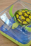 Інтерактивна іграшка ROBO ALIVE Робочерепаха, фото 2