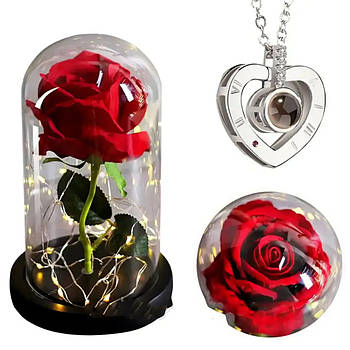 Троянда в колбі 20 см, з LED-підсвічуванням, Червона + Подарунок Кулон "I Love you" / Квітка-нічник вічна троянда