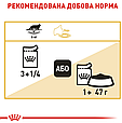 Вологий корм Royal Canin Maine Coon Adult для Мейн-кунів, пауч 85г, фото 8