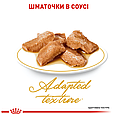 Вологий корм Royal Canin Maine Coon Adult для Мейн-кунів, пауч 85г, фото 5