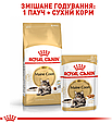 Вологий корм Royal Canin Maine Coon Adult для Мейн-кунів, пауч 85г, фото 9
