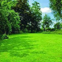 Насіння Газонних трав Універсальний газон 10кг невибагливий, багаторічний для всіх типів озеленення на вагу