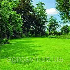 Насіння Газонних трав Універсальний газон 25кг невибагливий, багаторічний для всіх типів озеленення