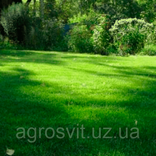 Насіння газонних трав "Теневий газон" (травозмішний) 10 кг «стійкий до витоптування» низькорослий супер газон на вагу