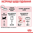 Вологий корм Royal Canin Kitten Gravy для кошенят у соусі на кожен день, 85г, фото 6
