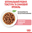 Вологий корм Royal Canin Kitten Gravy для кошенят у соусі на кожен день, 85г, фото 4
