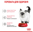 Вологий корм Royal Canin Kitten Gravy для кошенят у соусі на кожен день, 85г, фото 7