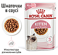 Вологий корм Royal Canin Kitten Gravy для кошенят у соусі на кожен день, 85г, фото 5