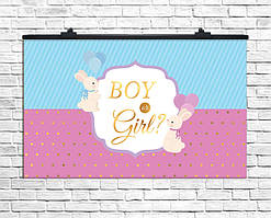 Плакат для свята Boy or Girl, 75х120 см