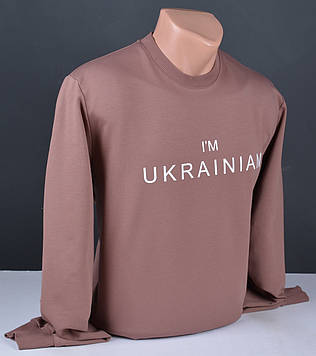 Чоловічий світшот великого розміру рожево-бежевий Туреччина 6100 Б