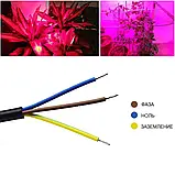 Світлодіодний фітопрожектор повного спектру 30вт, фото 4