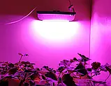 Світлодіодний фітопрожектор повного спектру 60вт, фото 4