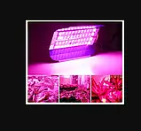Світлодіодний фітопрожектор повного спектру 60вт, фото 6