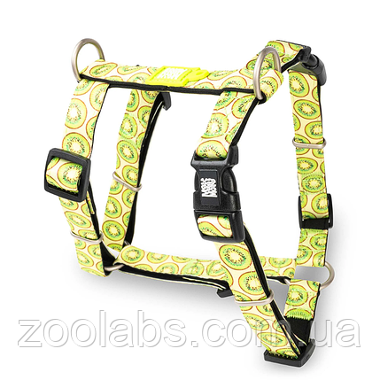 Шлея для собаки Max & Molly H-Harness Kiwi, фото 1