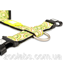 Шлея для собаки Max & Molly H-Harness Kiwi, фото 4