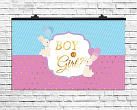 Праздничный гендер плакат "Boy or Girl", 75х120 см