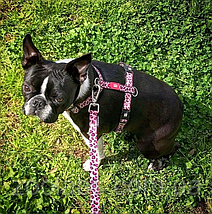 Шлея для собаки Max & Molly H-Harness Leopard Pink, фото 6