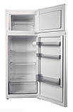 Холодильник Grunhelm GRW-143DD, фото 3
