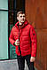 Зимова чоловіча куртка INDACO IC1178C Червоний, 50, фото 3