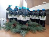 Екстракт хвойний натуральний 6 л (для ванн, підживлення для бджіл), фото 1