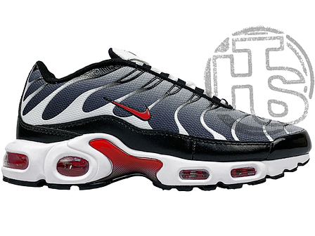 Чоловічі кросівки Nike Air Max Plus Black Silver Red ALL10832, фото 1