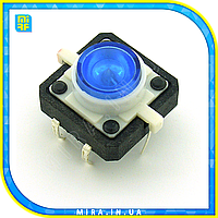 Тактовая кнопка TACT-24N-F-IB с подсветкой синяя 12х12