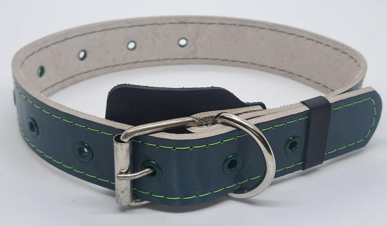 Нашийник шкіра 16 мм (різні кольори)