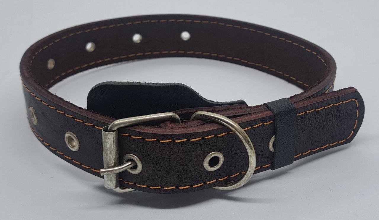 Нашийник шкіра 20 мм (різні кольори)