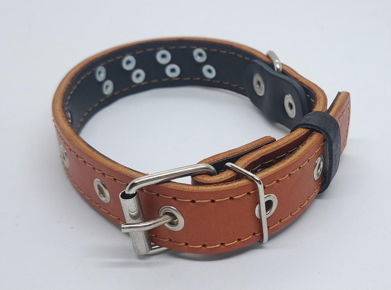 Нашийник шкіра з візерунком 30 мм
