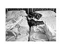 Подарункові книги для фотографів Sophie Calle: The Hotel альбоми відомих фотографів Софі Калле Готель, фото 9