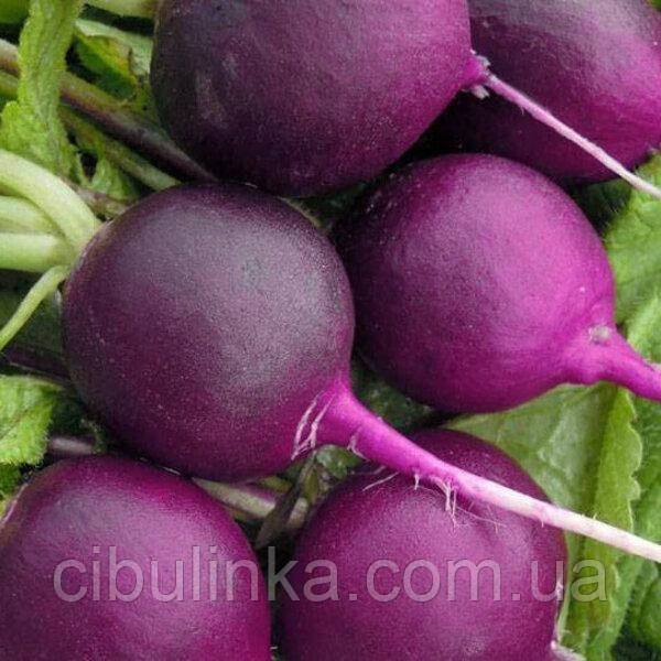 Редис Синій іній 2 г, фото 1